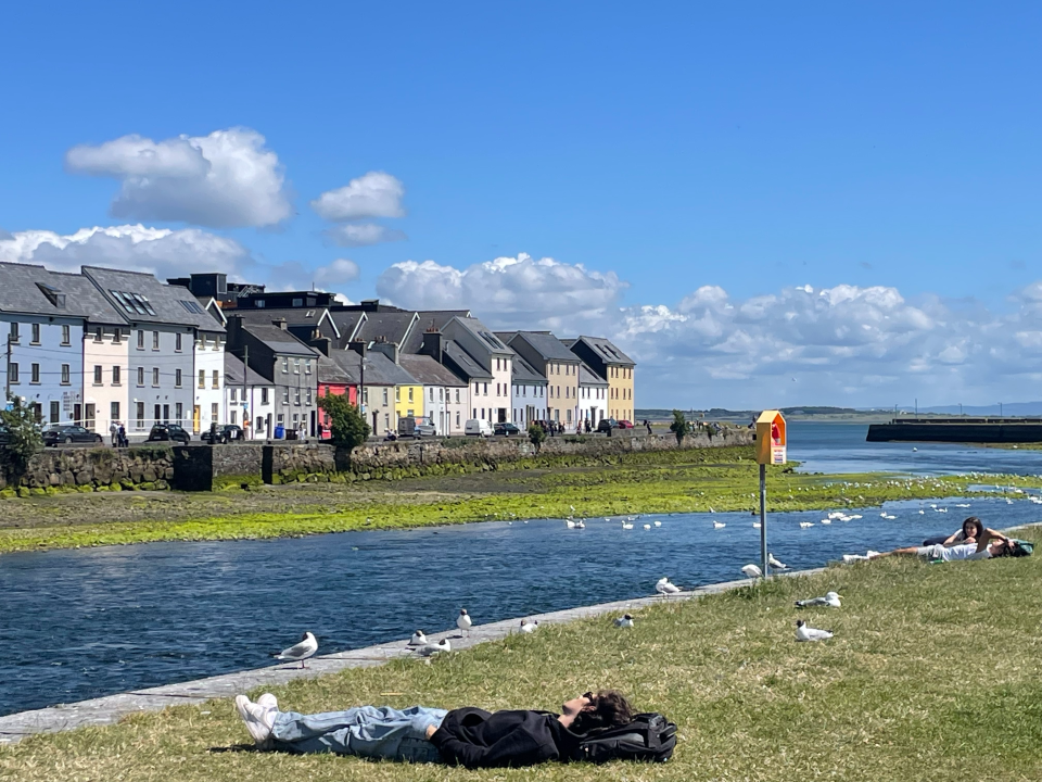 Hvad samler du på her i sommer?